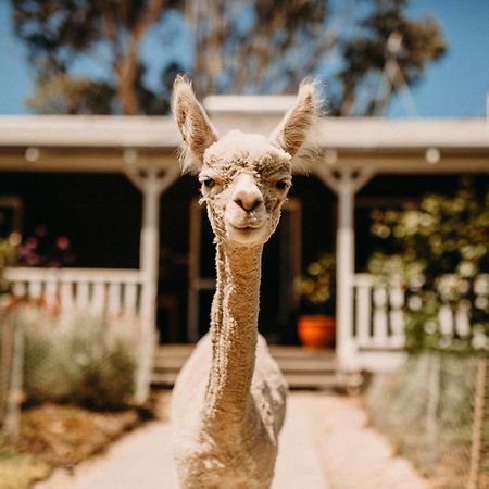 Margaret River Holiday Cottages Buitenkant foto