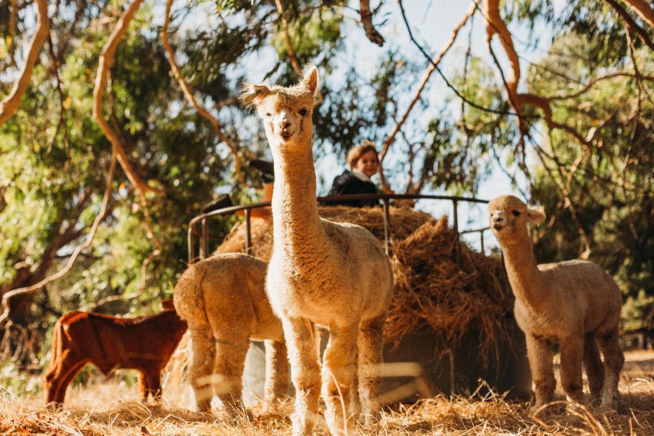 Margaret River Holiday Cottages Buitenkant foto