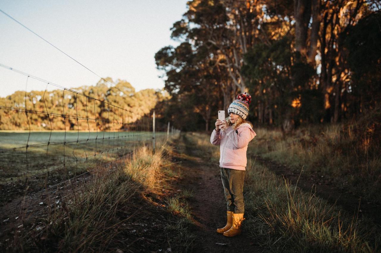 Margaret River Holiday Cottages Buitenkant foto