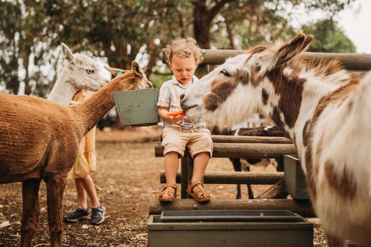 Margaret River Holiday Cottages Buitenkant foto