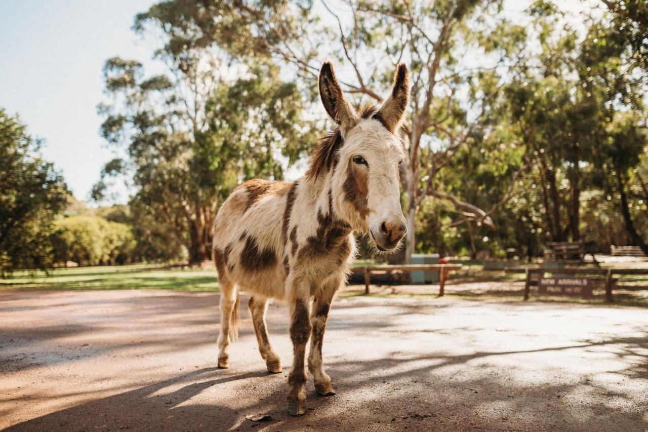 Margaret River Holiday Cottages Buitenkant foto