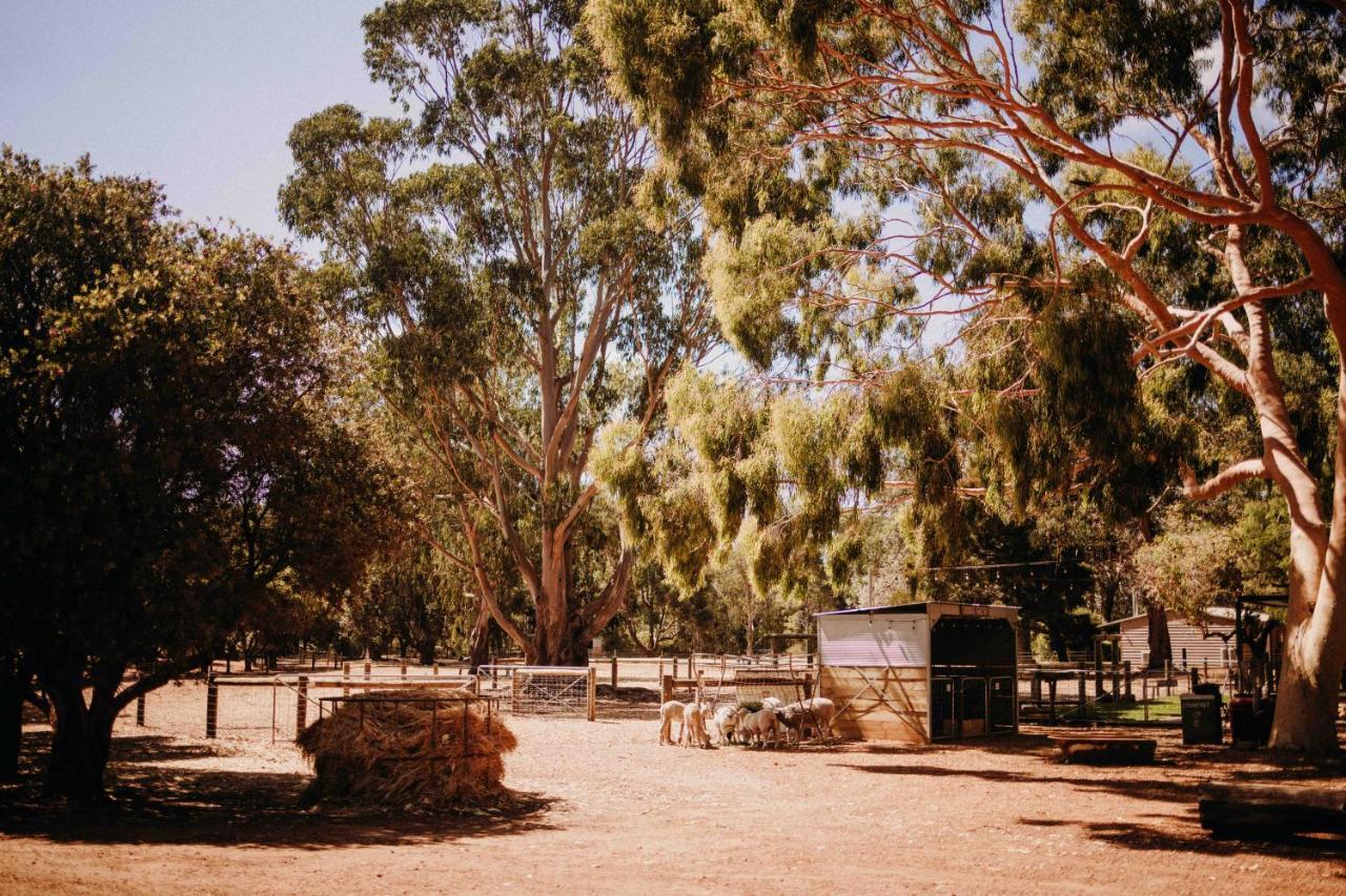 Margaret River Holiday Cottages Buitenkant foto
