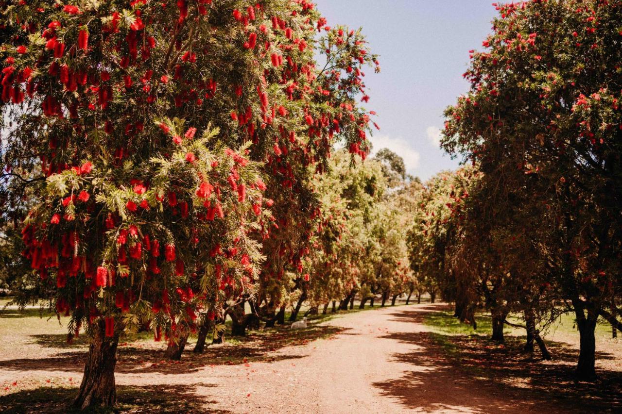 Margaret River Holiday Cottages Buitenkant foto